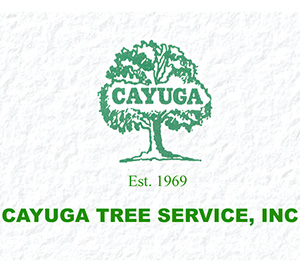 Cayuga Tree Service
