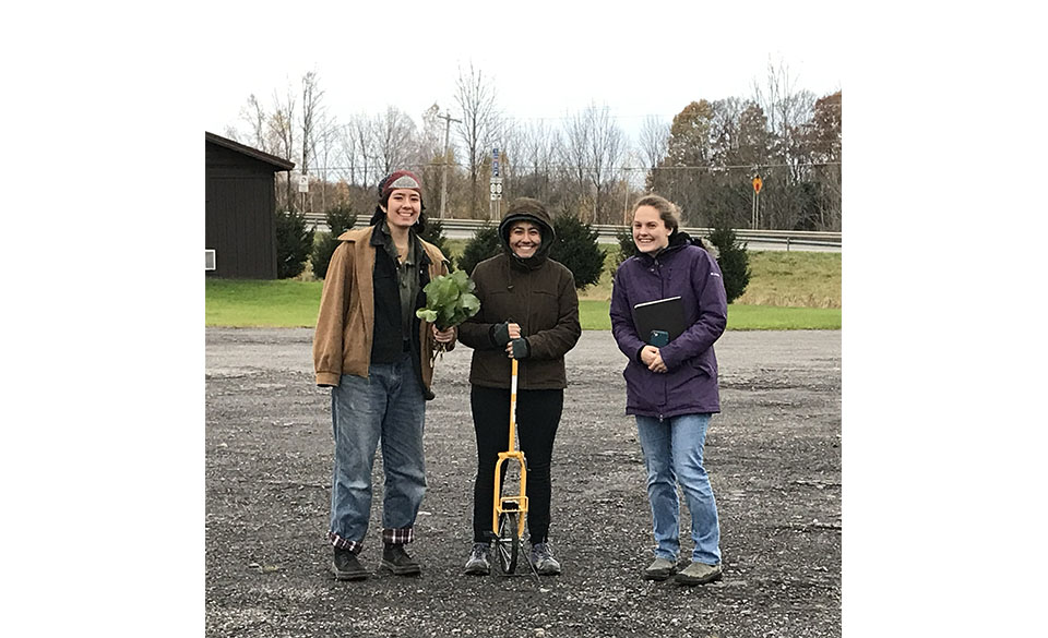 Three students are working the landscape outdoors. One student is holding a bunch of green leafy plants and another student is holding a yellow tool with a wheel. The third student is holder their cellphone and notebook.