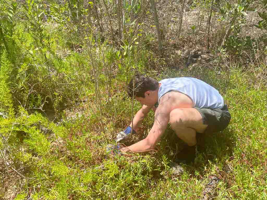 A student is planting a sapling in this photo. They are surrounded by plants and small trees.