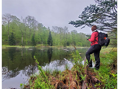 Rhia recording bird calls