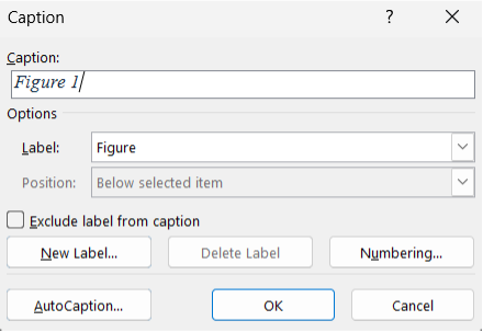 Screen shot depicting the Caption detail screen in Microsoft Word.
