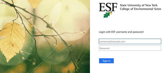 screenshot of sign on window