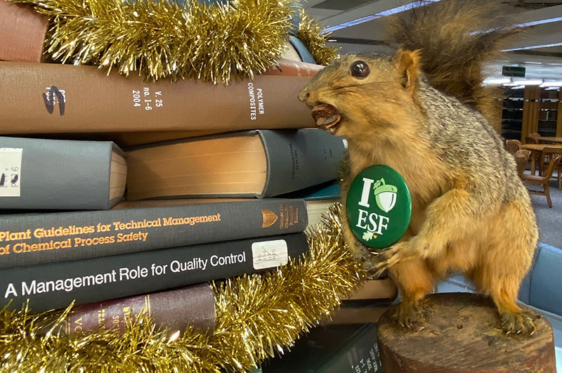 Squirrel wearing an ESF button on the Moon Library book tree.