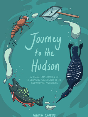 Book cover of Jouney to the Hudson