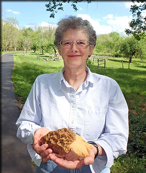 Dr. Karin E Limburg