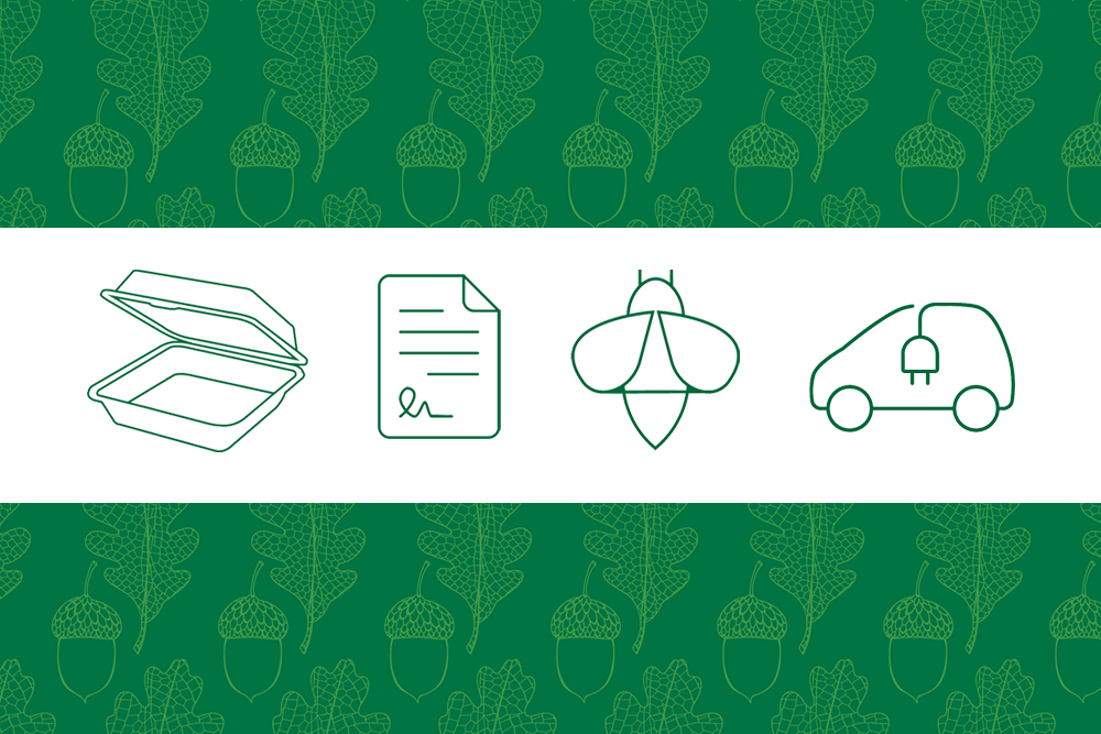 Graphic of clamshell food container, paper, bee and electric car bordered on top and bottom by green bars with acorn watermark.