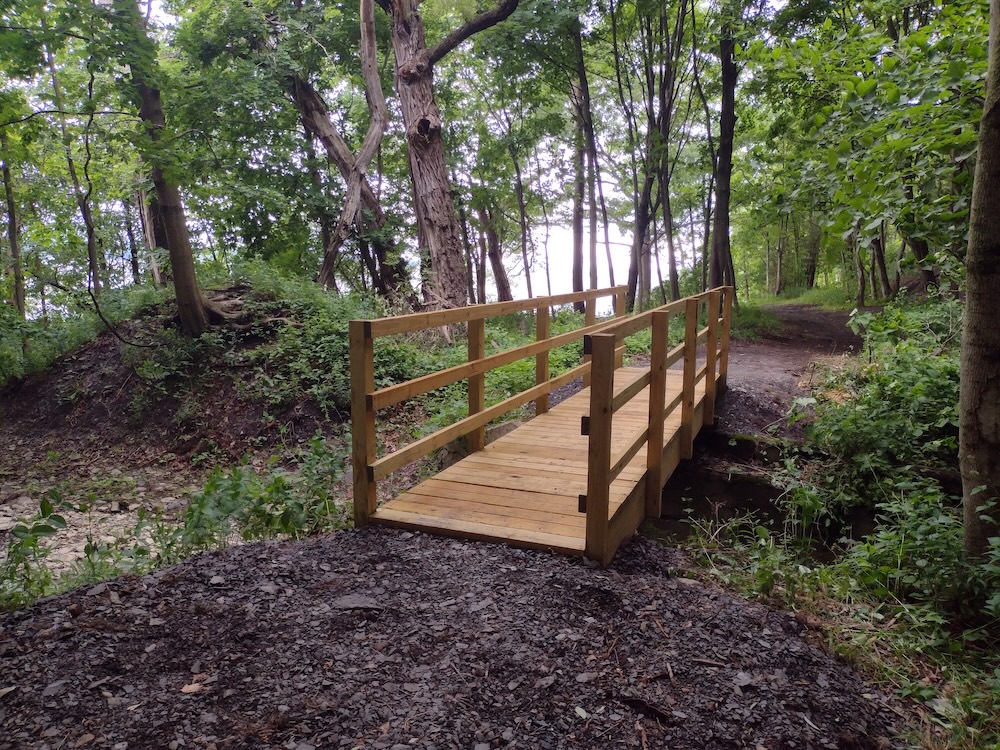 Wooden bridge crossing small creekbed in the woods.