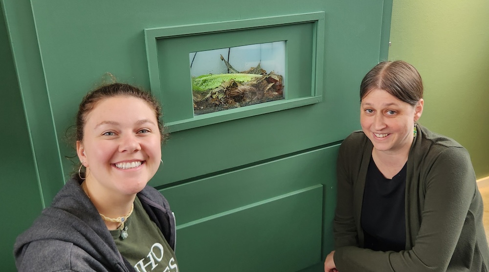 Two women on either side of aquarium case displaying snails