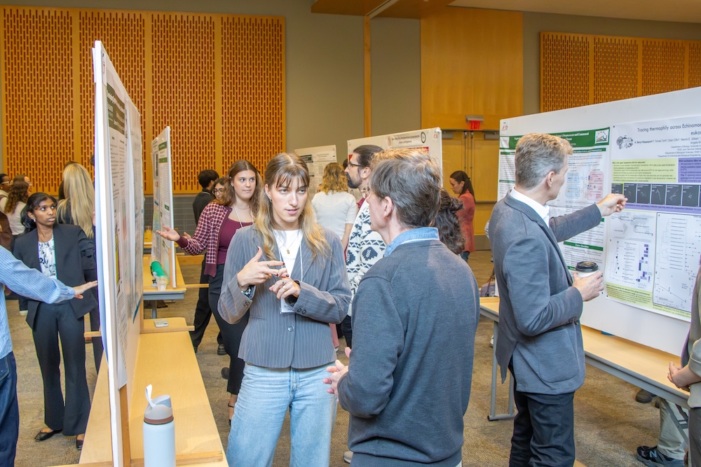 Researchers, students, and professionals discuss scientific findings during a poster session, with participants presenting and reviewing research displays arranged throughout a conference hall. Rows of large research posters line the room as attendees gather in small groups to exchange information and ask questions about the projects on display.
