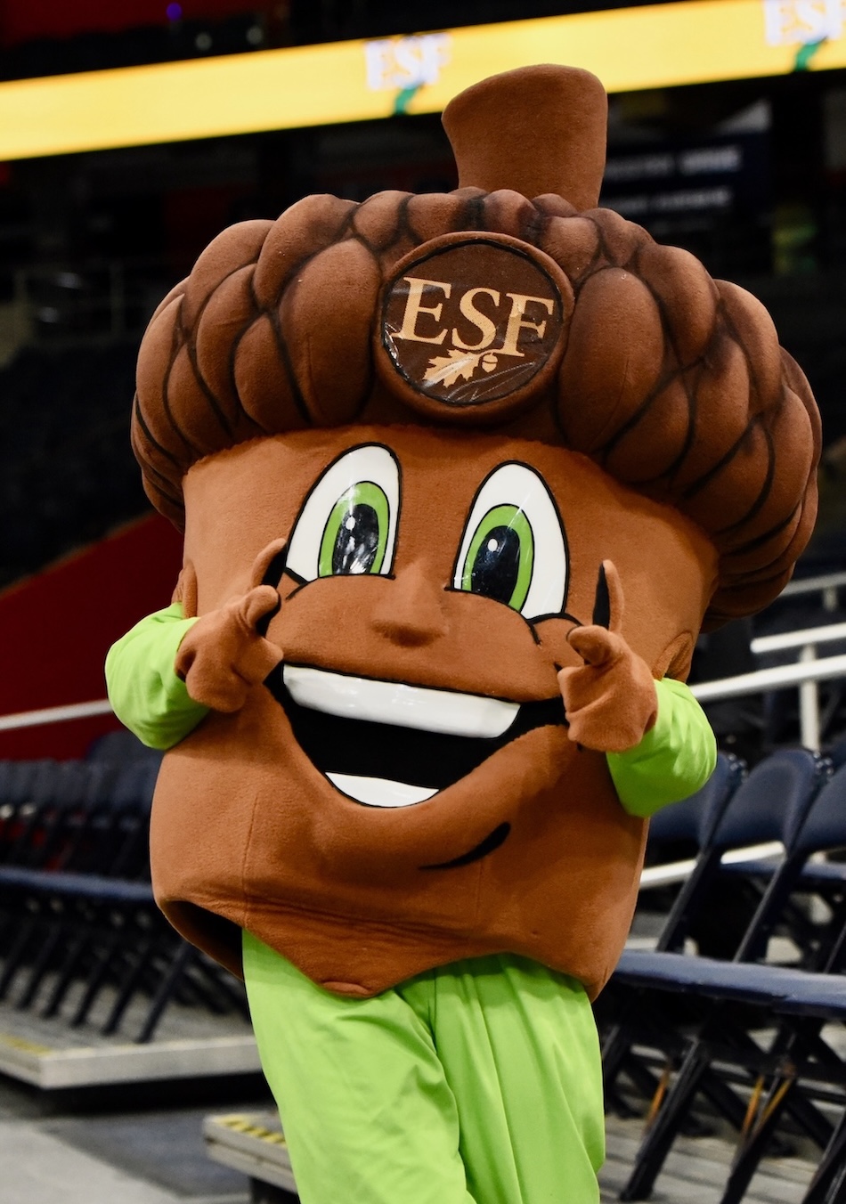 The photo shows a large costumed character shaped like an acorn with bright green eyes, a wide smiling mouth, and the letters “ESF” displayed on the cap. The character is standing in an indoor arena near rows of empty seats and is posed with both hands raised and pointing forward.