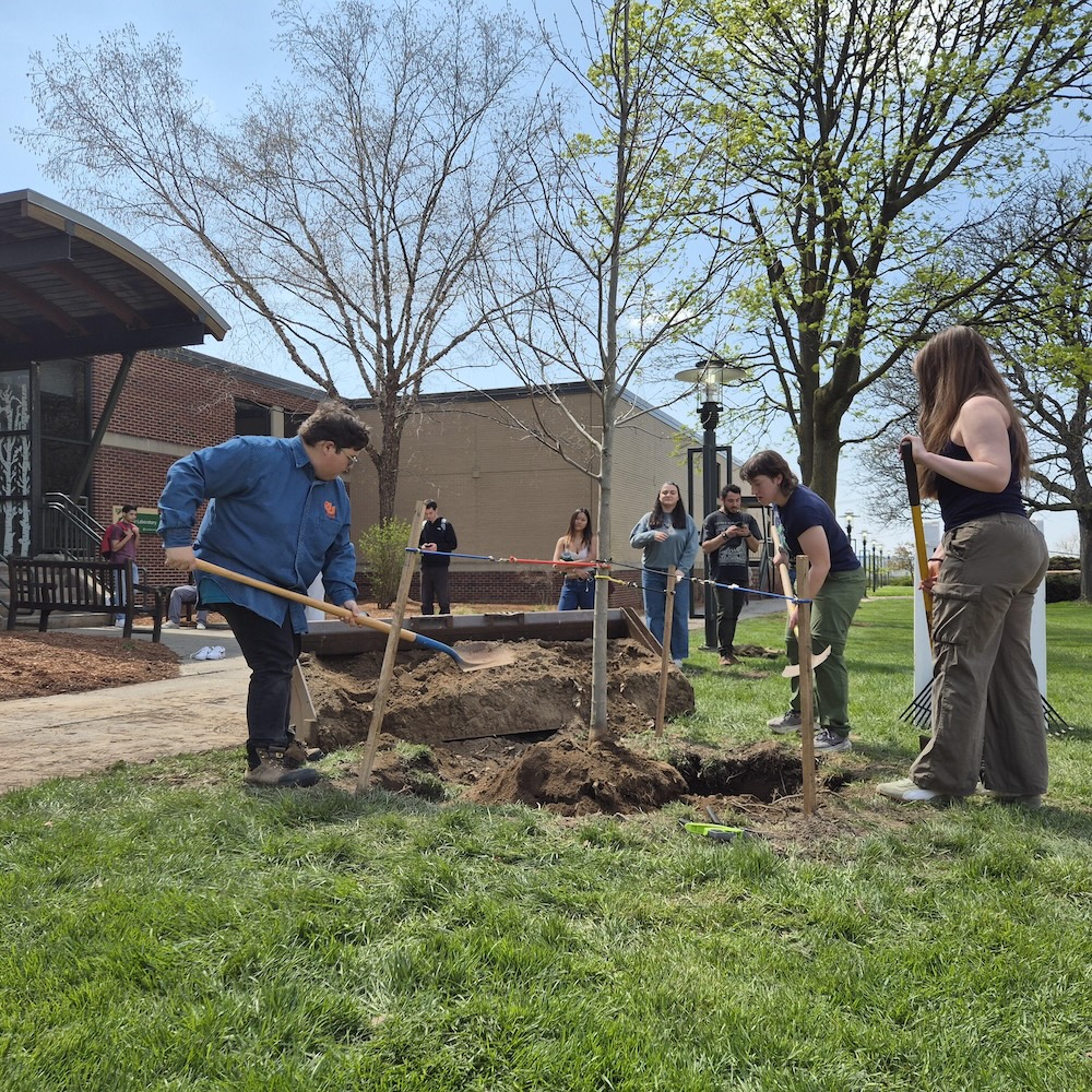 Several people stand on a grassy campus lawn using shovels to dig a large hole, with wooden stakes marking the planting area. A brick building, trees with early spring leaves, and additional people watching appear in the background under a clear sky.