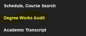 Screen shot from Banner highliting Degree Works Audit option