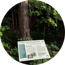 Northern Hardwood Forest sign