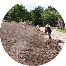 ESF students and staff planting a meadow