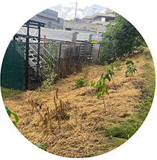 Pollinator garden behind gateway center